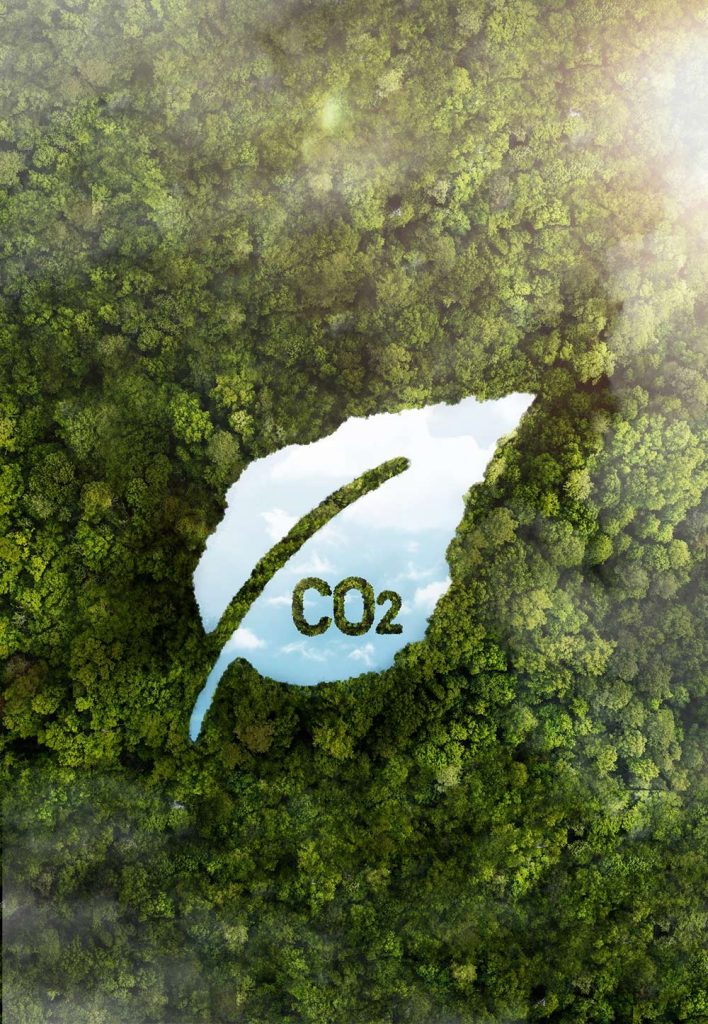 carbon-footprint Carbon Footprint